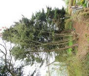 baden-wuerttemberg 0002 K 0038/2023 Mathias-Eberle-Weg  17, 88471 Laupheim, Bihlafingen 27