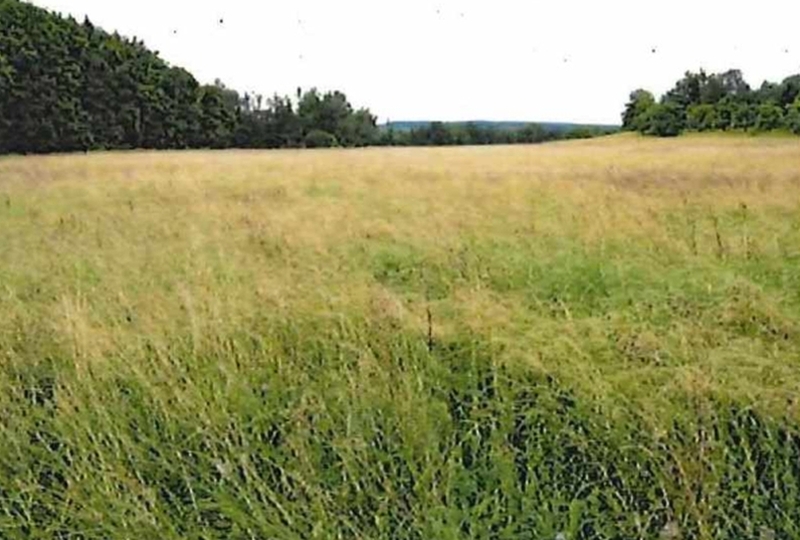baden-wuerttemberg 1 K 1-23(1) , 72072 Tübingen, Bühl