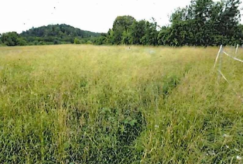 Baden-Württemberg 1 K 1-23(1) , 72072 Tübingen, Bühl