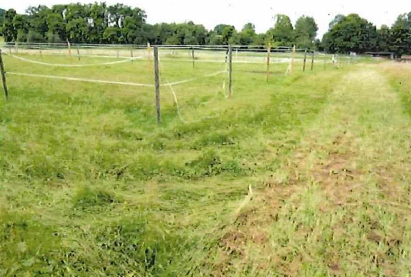 baden-wuerttemberg 1 K 1-23(2) , 72072 Tübingen, Bühl