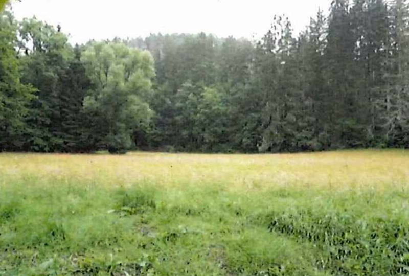 baden-wuerttemberg 1 K 1-23(2) , 72072 Tübingen, Bühl