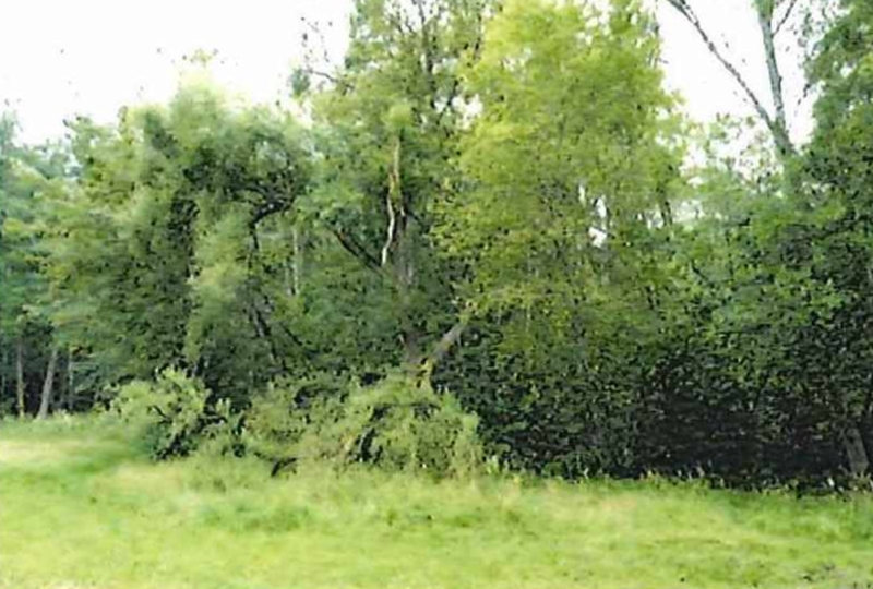baden-wuerttemberg 1 K 1-23(2) , 72072 Tübingen, Bühl