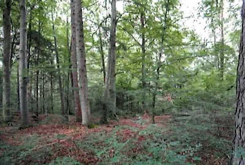 baden-wuerttemberg 1 K 1-23(3) , 72072 Tübingen, Bühl