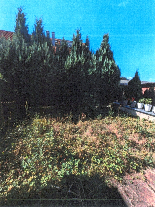 baden-wuerttemberg 1 K 112/23 Dammstraße 31, 74906 Bad Rappenau - Babstadt 17