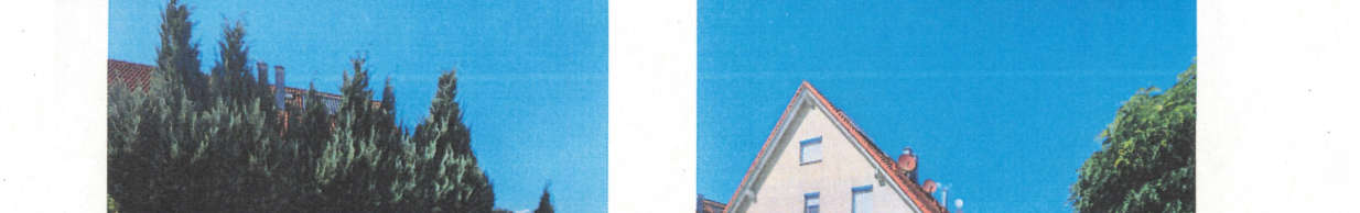 Einfamilienhaus in Dammstraße 31, 74906 Bad Rappenau - Babstadt - Bild 4