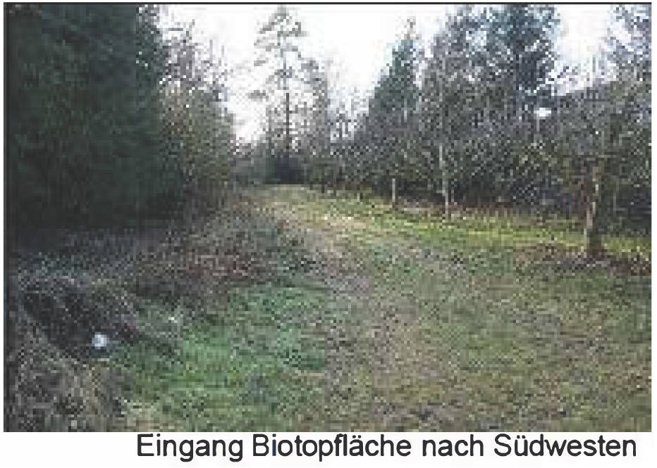 baden-wuerttemberg 1 K 15/24 Stockacher Straße 1, 88630 Pfullendorf - Aach-Linz 17