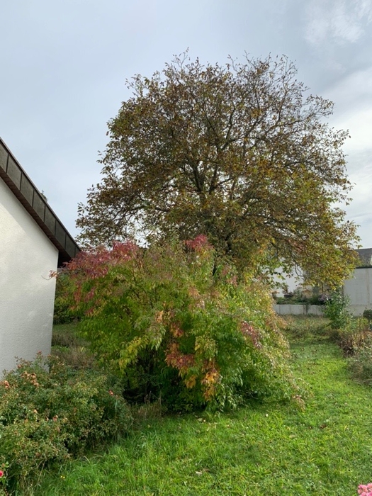 baden-wuerttemberg 1 K 19-24 Maximilianweg 11, 72108 Rottenburg am Neckar