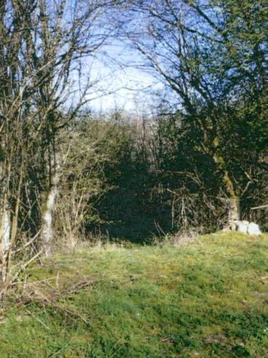 Grundstück in Friedhofstraße 11, 73660 Urbach-Oberurbach - Bild 3
