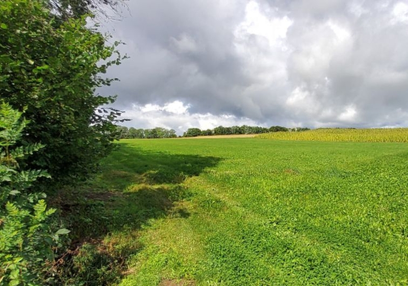 Land-/Forstwirtschaft in , 73460 Hüttlingen - Bild 3