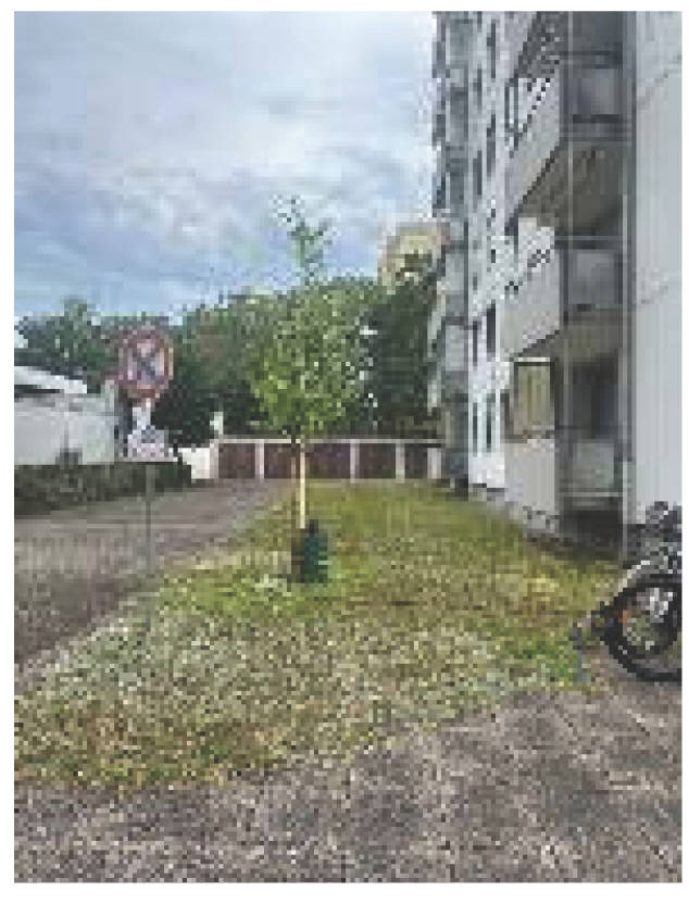 Vierzimmerwohnung in Wilhelm-Hausenstein-Allee 14, 76187 Karlsruhe - Bild 4
