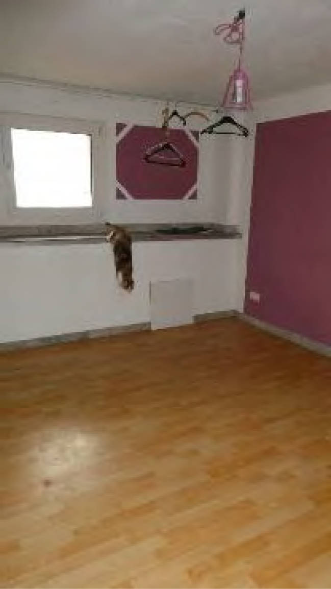baden-wuerttemberg 1 K 30/24 Albführer Str. 11, 79771 Klettgau 7