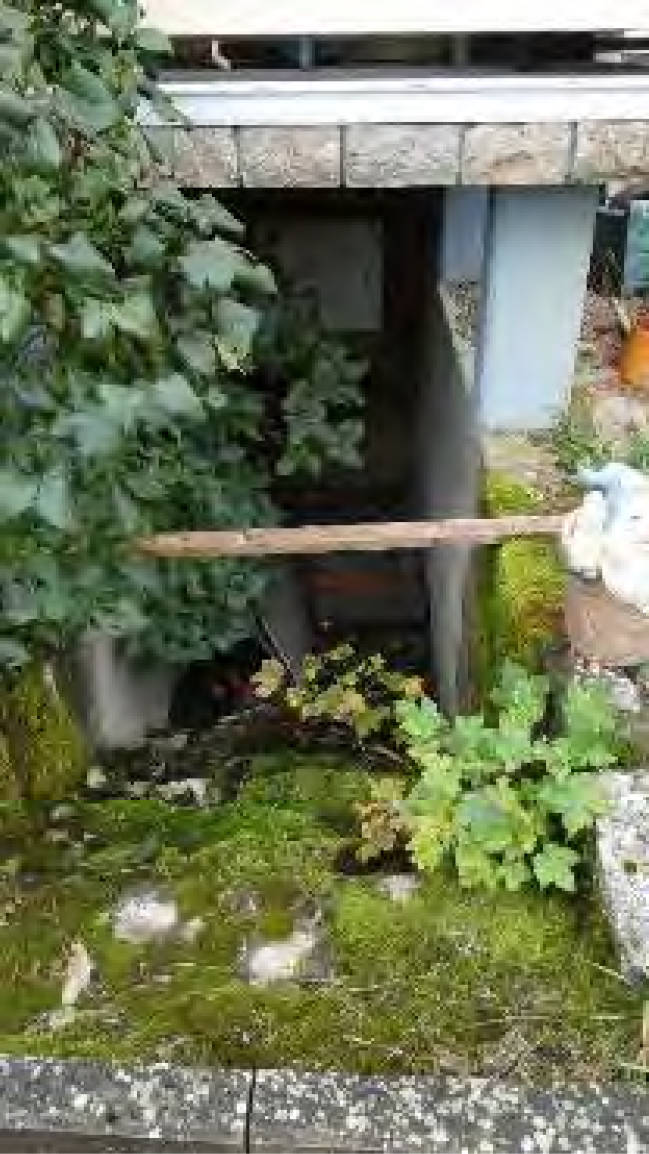 baden-wuerttemberg 1 K 30/24 Albführer Str. 11, 79771 Klettgau 29