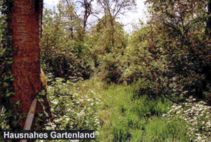 Einfamilienhaus in Meterstraße 19, 70839 Gerlingen - Bild 3