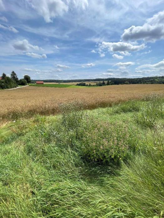 Gewerbe, Landwirtschaftsflächen in Dellenhäuleweg 31, 73432 Aalen-Beuren - Bild 5