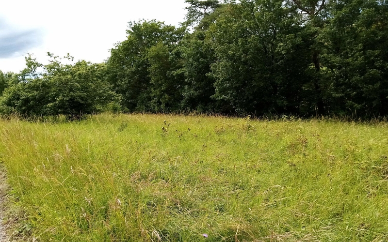 Bauerngehöft in Alleestraße 17, 74214 Schöntal OT Marlach - Bild 4