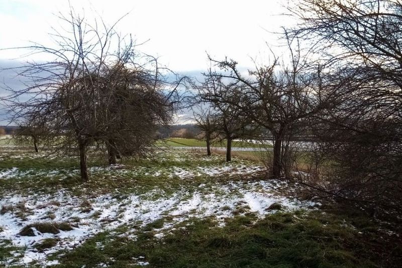 baden-wuerttemberg 1 K 36/24 , 74523 Schwäbisch Hall, Tüngental 6