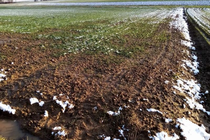 Grundstück in , 74523 Schwäbisch Hall, Tüngental - Bild 5