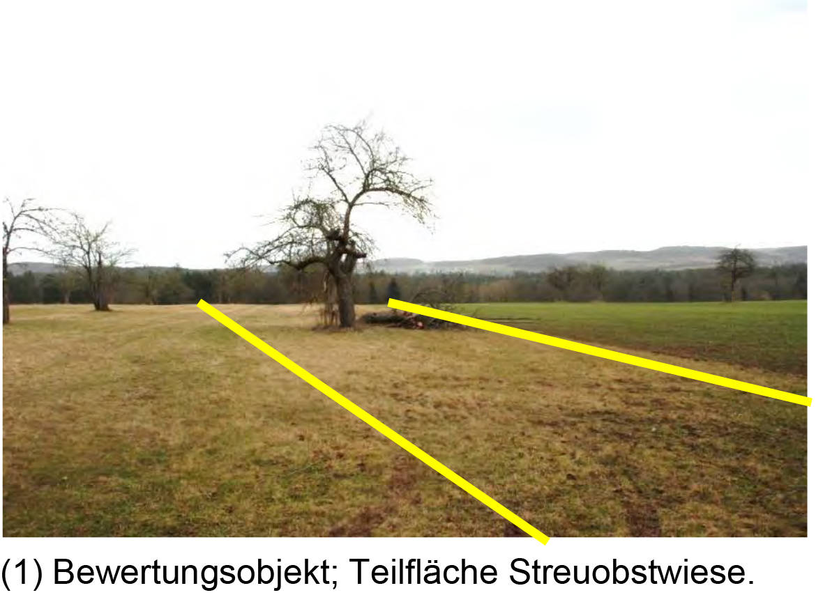 baden-wuerttemberg 1 K 38/23 Meierhofstraße 21/1, 75382 Althengstett 18