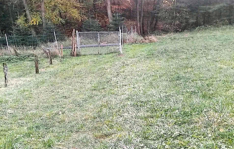 Land-/Forstwirtschaft in , 74420 Oberrot - Bild 2