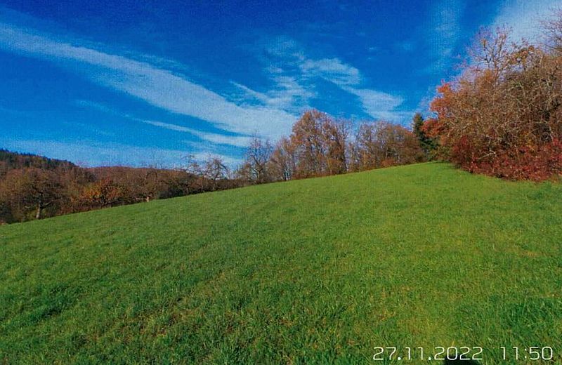 Land-/Forstwirtschaft in , 73614 Schorndorf-Miedelsbach - Bild 2