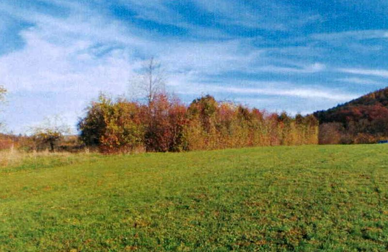 Land-/Forstwirtschaft in , 73614 Schorndorf-Miedelsbach