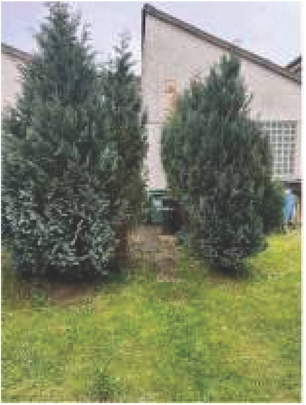 Zweifamilienhaus in Kirchstraße 12/1, 75399 Unterreichenbach