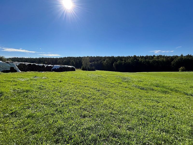 Wohnhaus/Landwirtschaftsflächen in Neuhäusle 16, 73494 Rosenberg - Bild 2