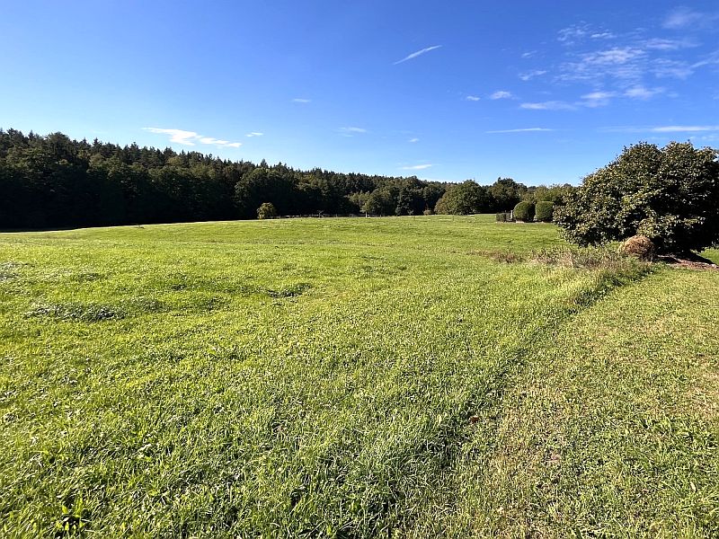 Wohnhaus/Landwirtschaftsflächen in Neuhäusle 16, 73494 Rosenberg - Bild 3