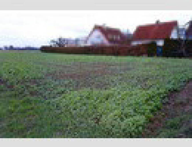 Land-/Forstwirtschaft in Rinnenbachstraße, 73760 Ostfildern - Bild 2