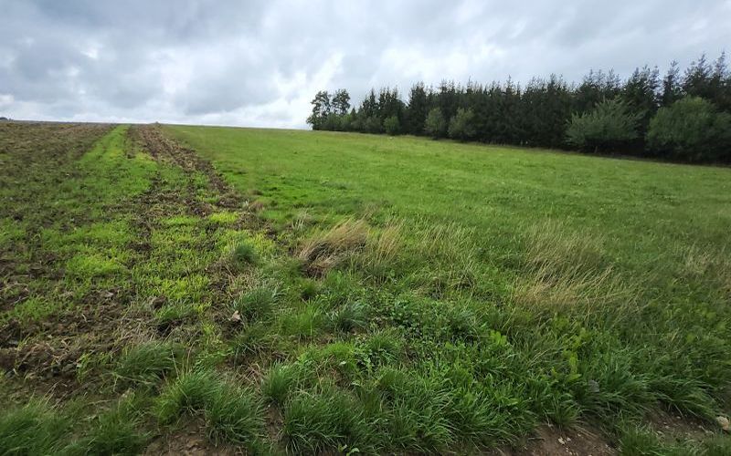 Wohnhaus/Landwirtschaftsflächen in Limesweg 38, 73492 Rainau OT Dalkingen - Bild 3