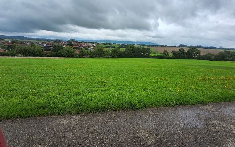 Wohnhaus/Landwirtschaftsflächen in Limesweg 38, 73492 Rainau OT Dalkingen - Bild 4