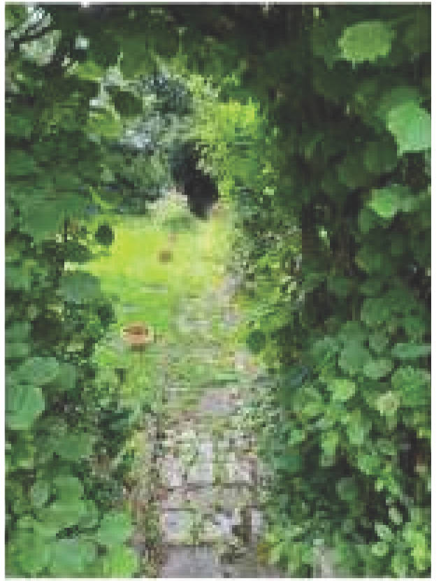 baden-wuerttemberg 1 K 72/24 Michelbacher Straße 16, 76571 Gaggenau 8