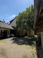 baden-wuerttemberg 1 K 75/24 Fährstraße 38, 76437 Rastatt - Plittersdorf 8