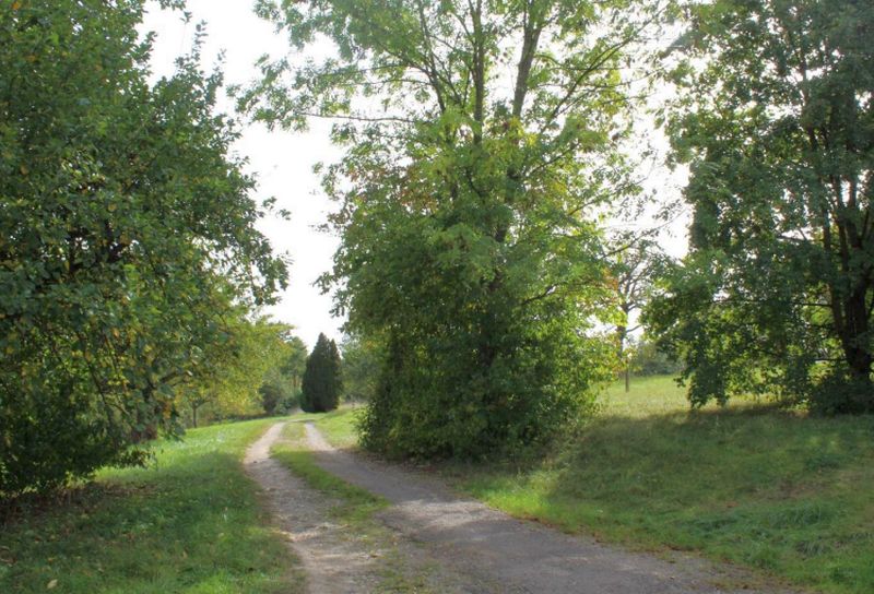 Land-/Forstwirtschaft in Ob dem Biesach, 73760 Ostfildern-Scharnhausen - Bild 3