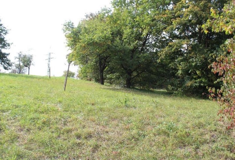 Land-/Forstwirtschaft in Ob dem Biesach, 73760 Ostfildern-Scharnhausen - Bild 2