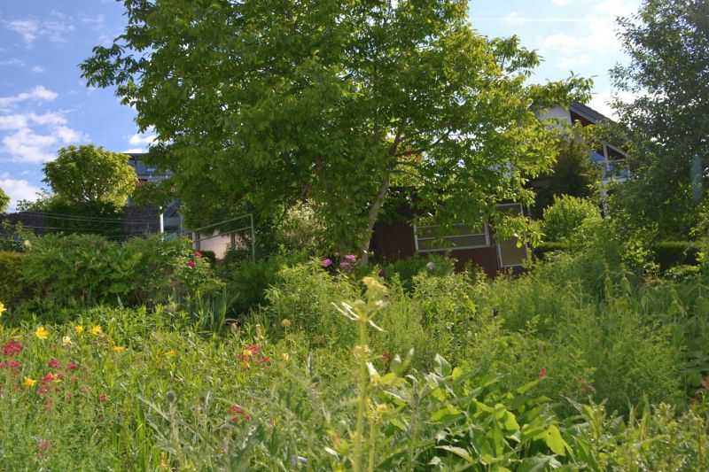Einfamilienhaus in Burgmehlstraße 6, 74423 Obersontheim - Bild 4