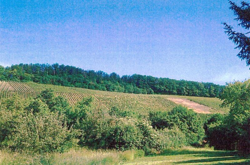 , 74336 Brackenheim (Stockheim)