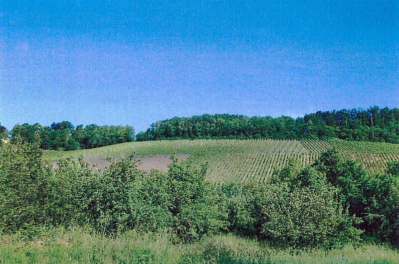 Land-/Forstwirtschaft in , 74336 Brackenheim (Stockheim) - Bild 2