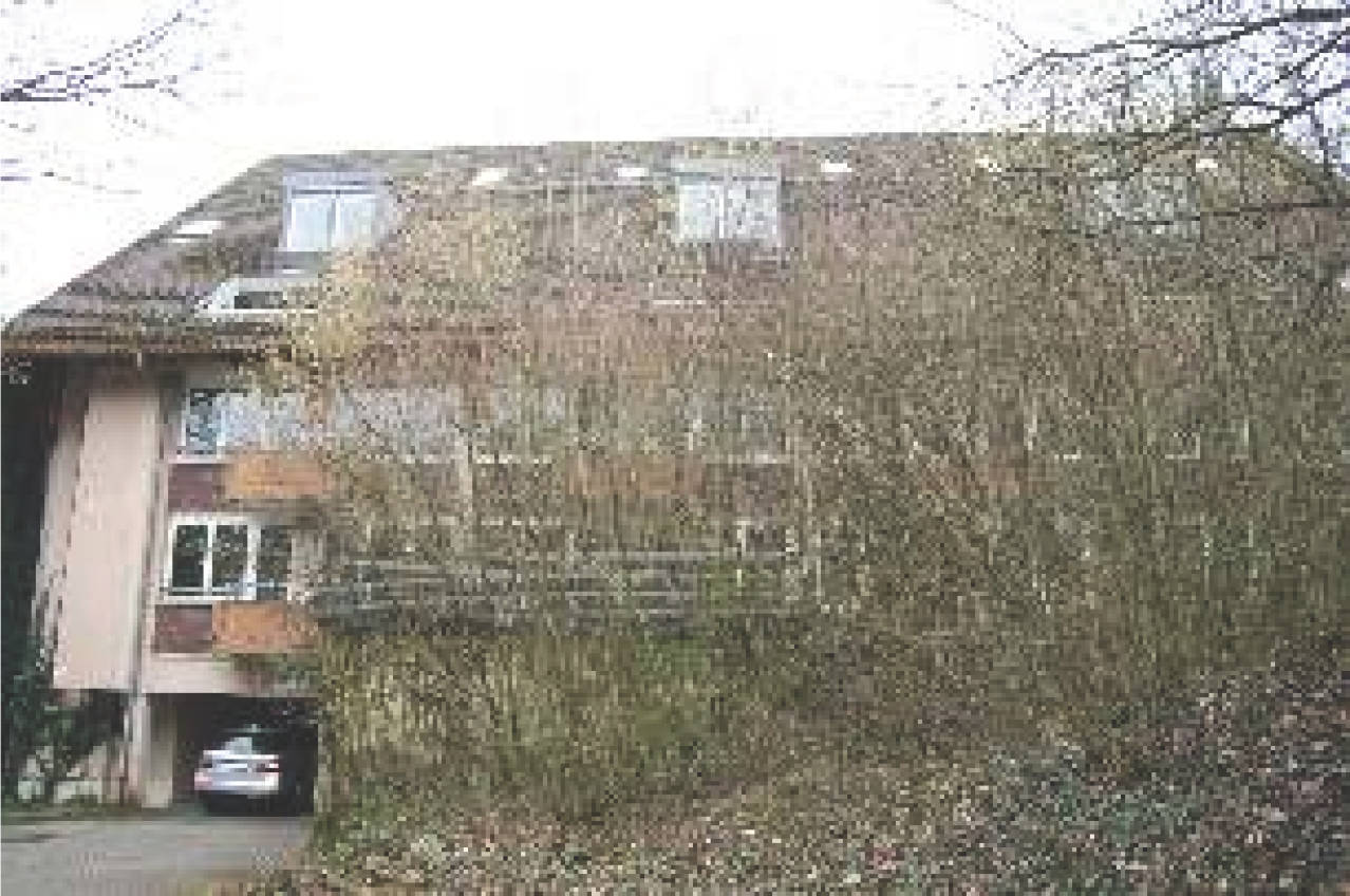 Fremersbergstraße 129, 76530 Baden-Baden
