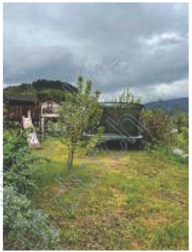 baden-wuerttemberg 12 K 3/24 Neusatzer Straße 3b, 77833 Ottersweier 19