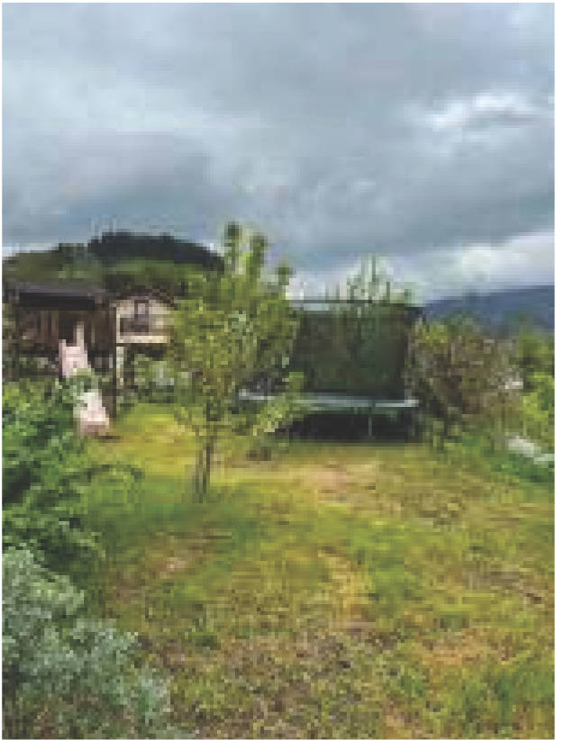 baden-wuerttemberg 12 K 3/24 Neusatzer Straße 3b, 77833 Ottersweier 18