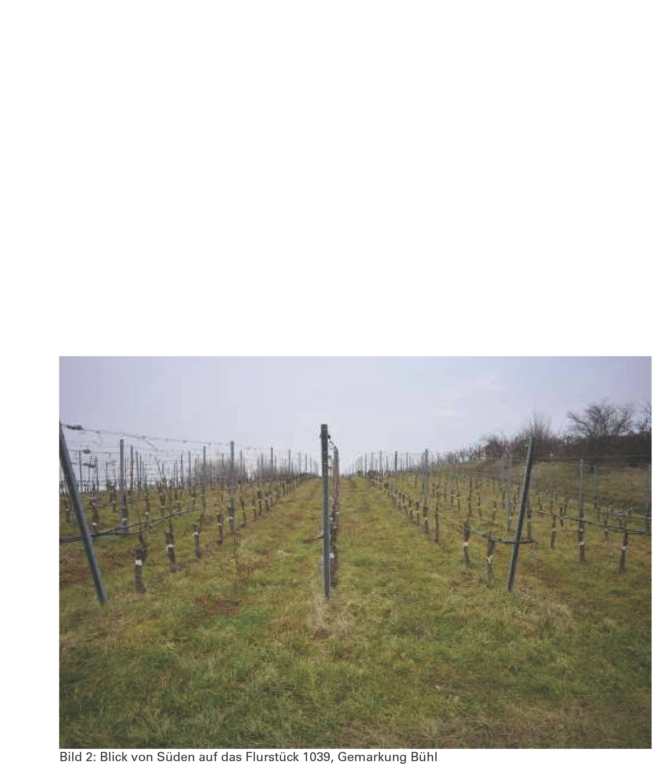 Landwirtschaftsfläche in 77815 Bühl