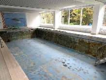 baden-wuerttemberg 15 K 9/24 Alte Paßstraße 45, 72250 Freudenstadt - Kniebis 9