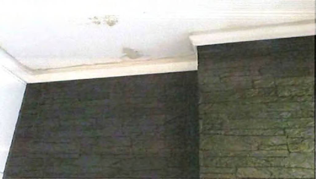 Vierzimmerwohnung in Sisalweg 16, 68307 Mannheim - Bild 5