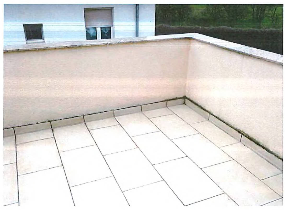 baden-wuerttemberg 2 K 114/23 Sisalweg 16, 68307 Mannheim 7