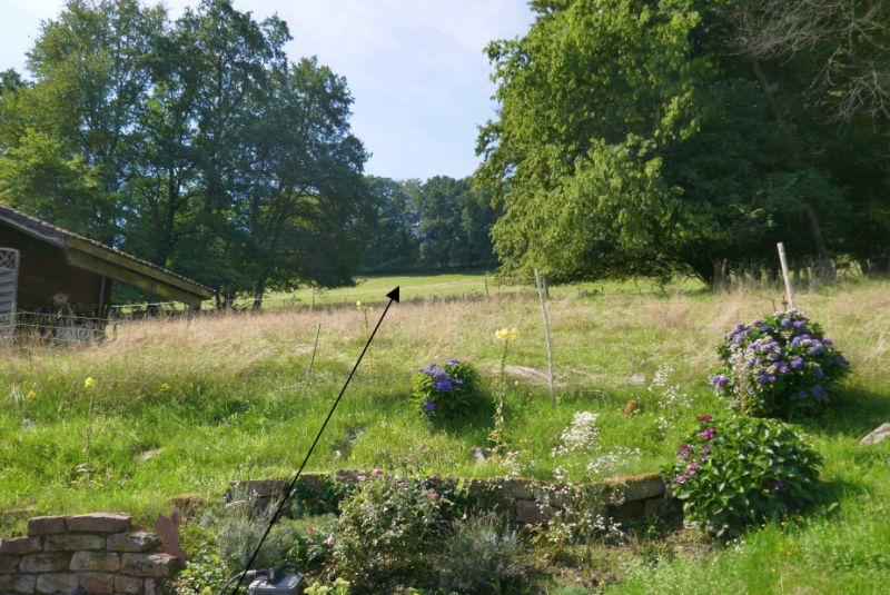 Land-/Forstwirtschaft in , 69151 Neckargemünd OT Mückenloch