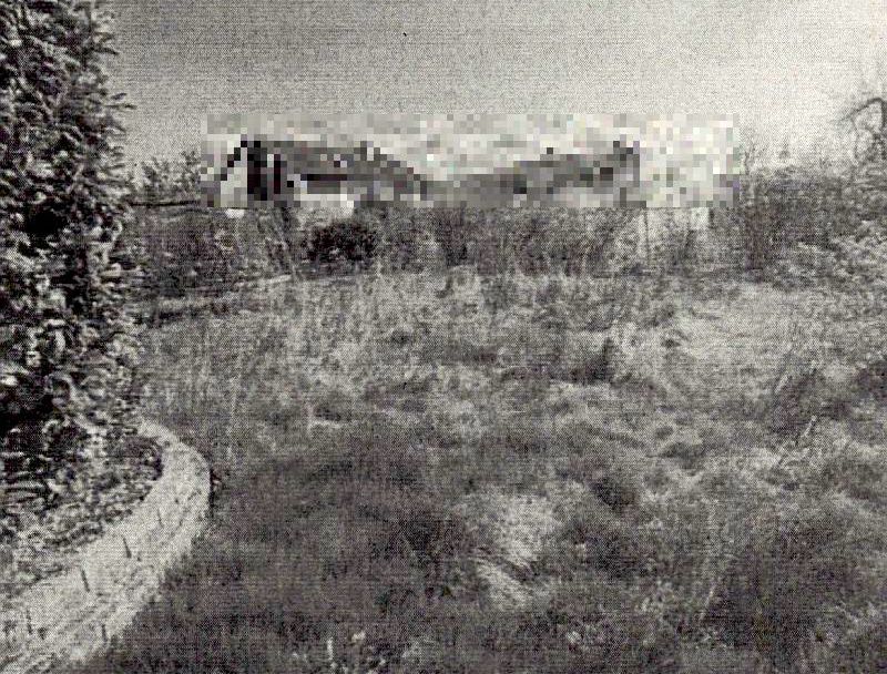 Einfamilienhaus in Dresdner Straße 23, 74889 Sinsheim - Bild 2