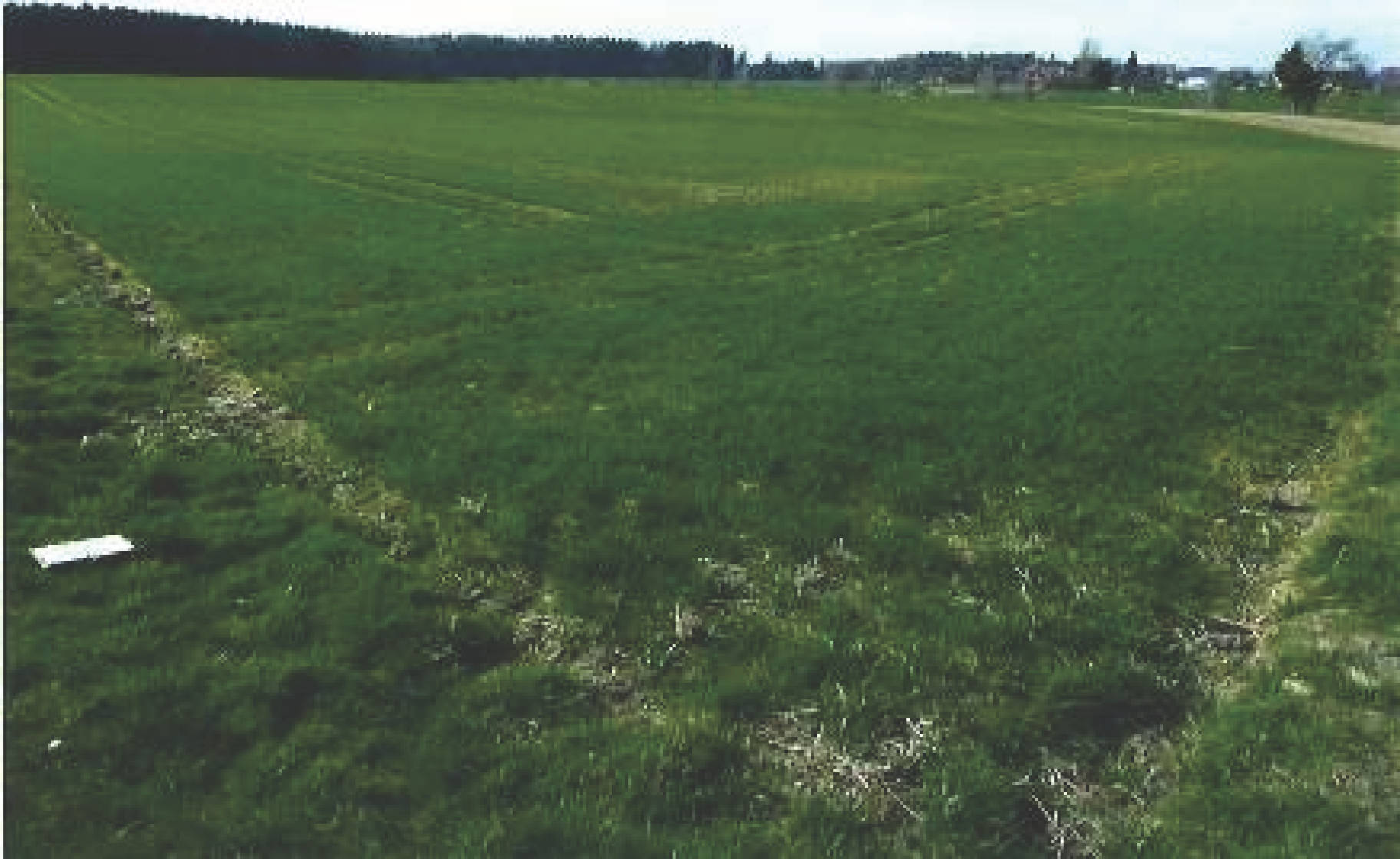 Landwirtschaftsfläche in 88433 Schemmerhofen - Alberweiler - Bild 2