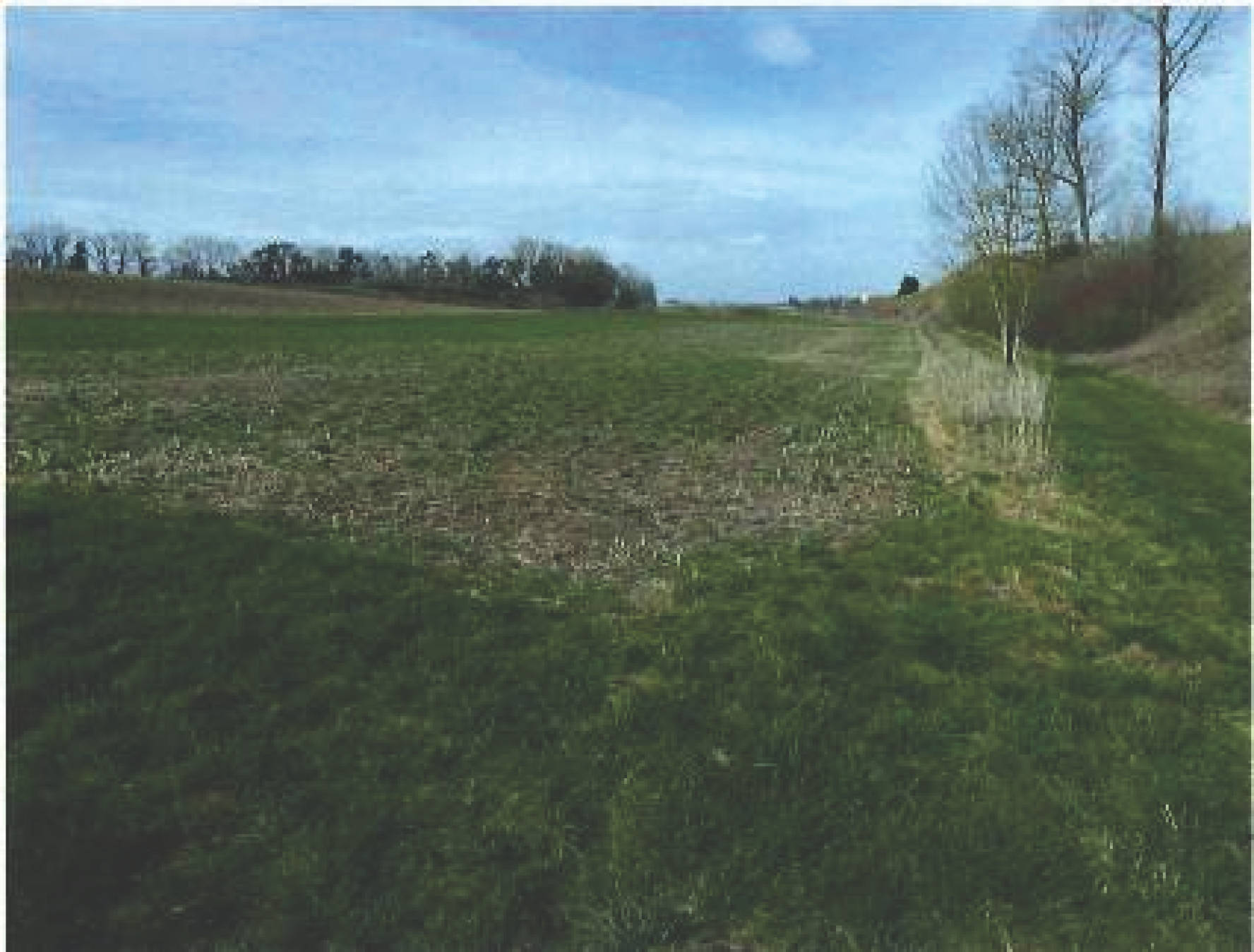 Landwirtschaftsfläche in 88433 Schemmerhofen - Alberweiler - Bild 5