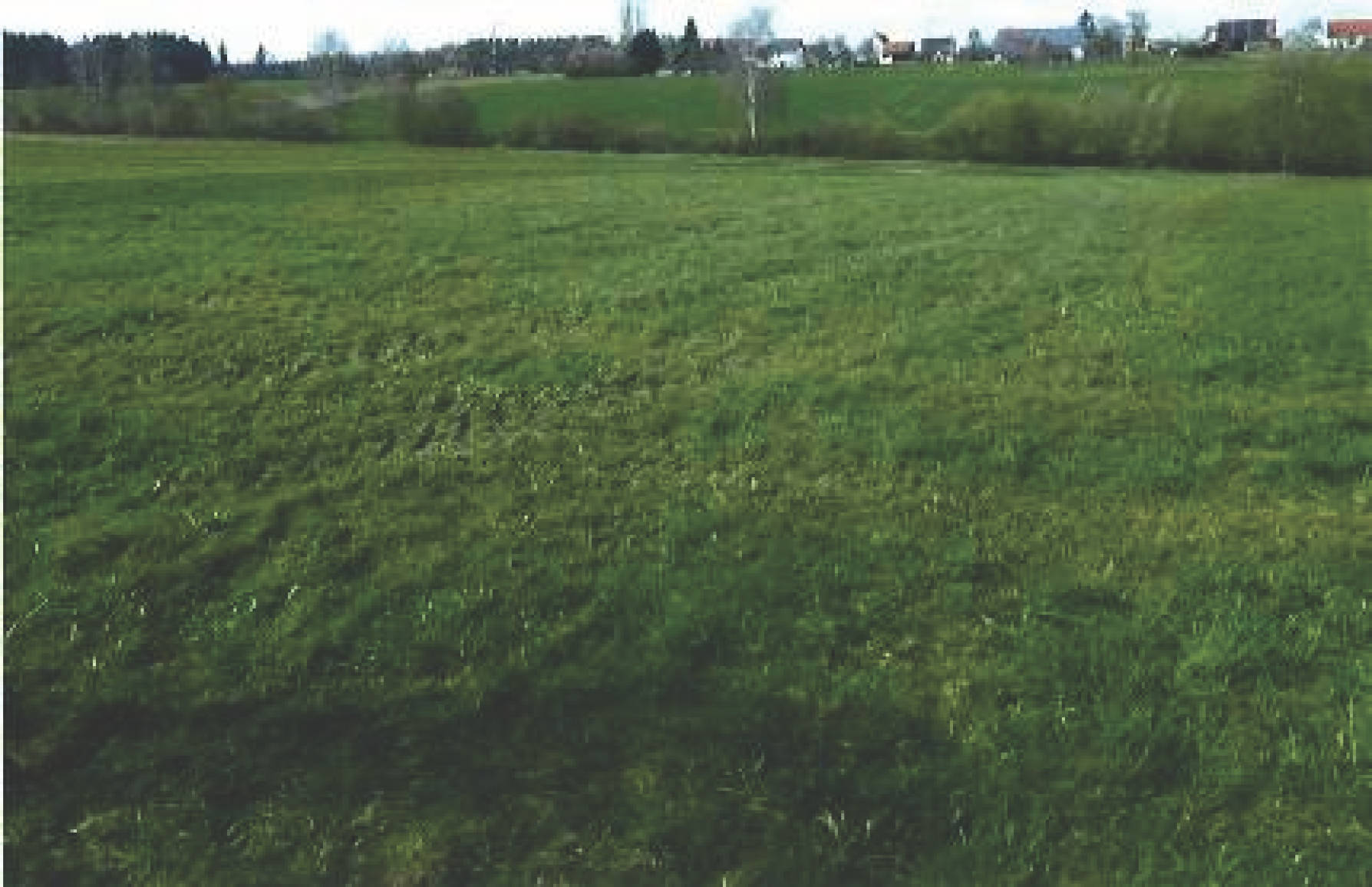 Landwirtschaftsfläche in 88433 Schemmerhofen - Alberweiler - Bild 4